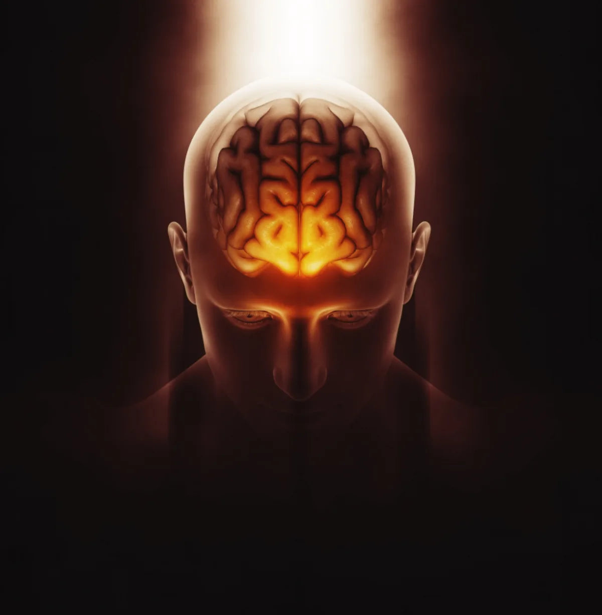 Brain & Mental Clarity