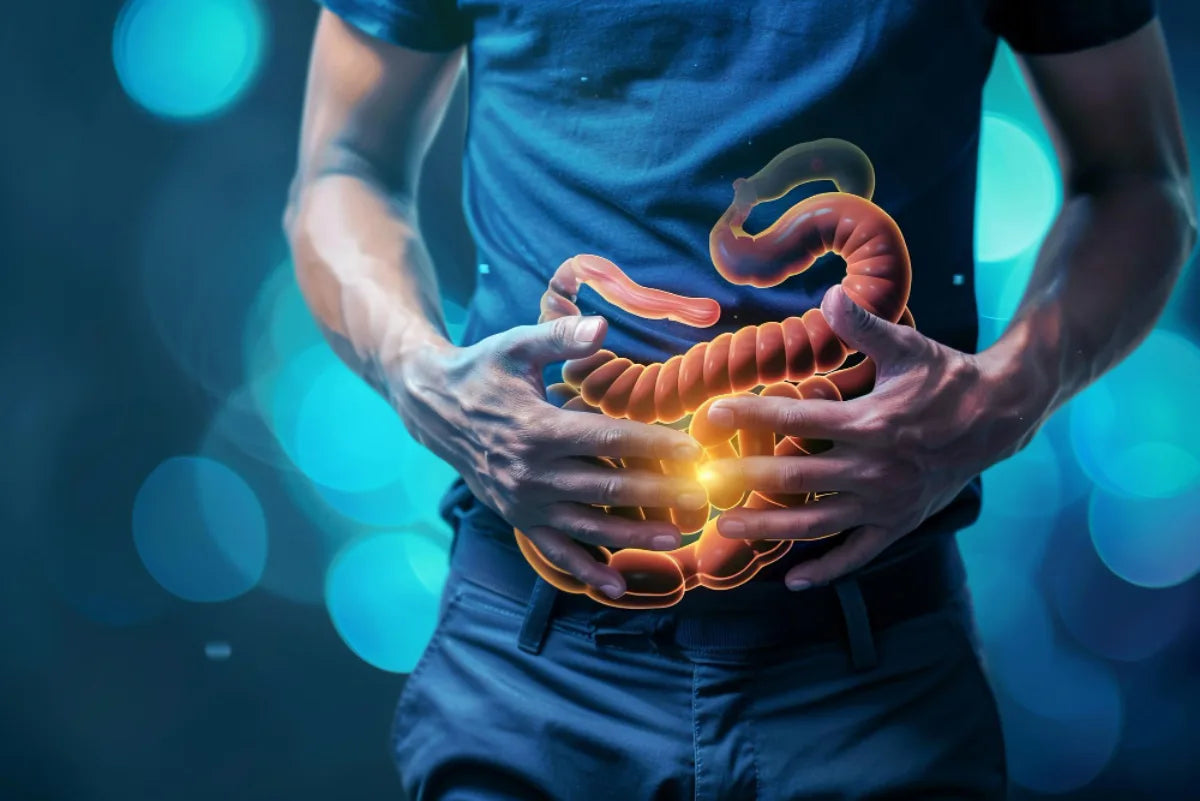 Digestive & Gut Health